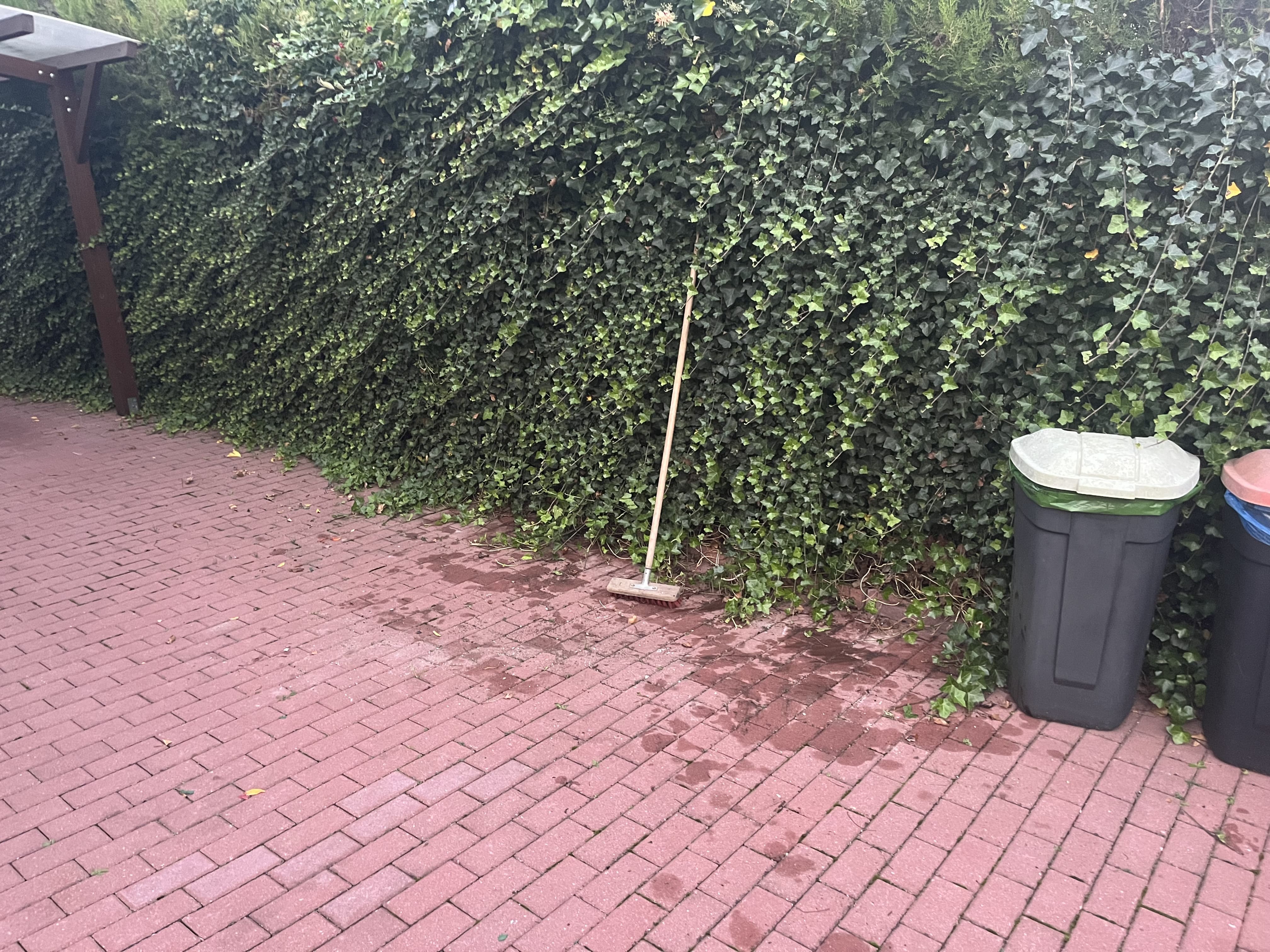 ul. Aragońska, Gdynia — po opróżnieniu, Pusto.pl